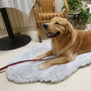 Orthopedic Dog Bed Memory Foam