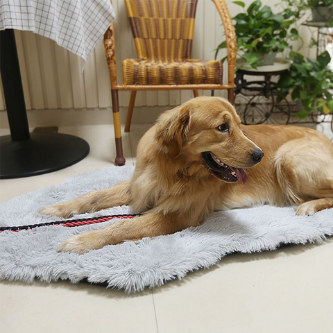 Image of Orthopedic Dog Bed Memory Foam