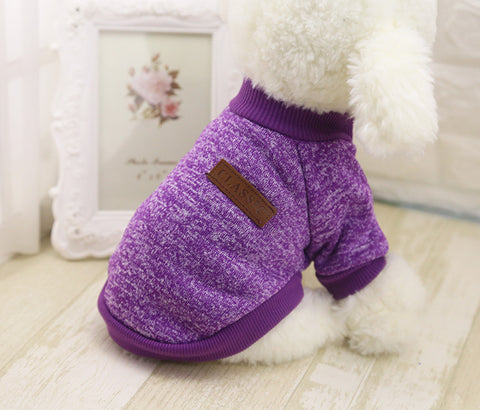 Image of Dog Clothes For Small Dogs soft sweater, a chihuahua Classic